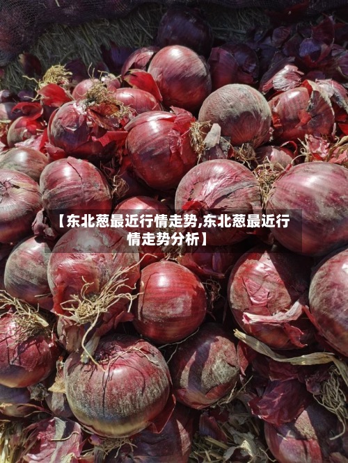 【东北葱最近行情走势,东北葱最近行情走势分析】