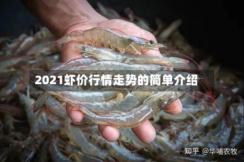 2021虾价行情走势的简单介绍