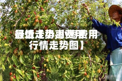最近【小枣费用行情走势,小枣费用行情走势图】-第3张图片