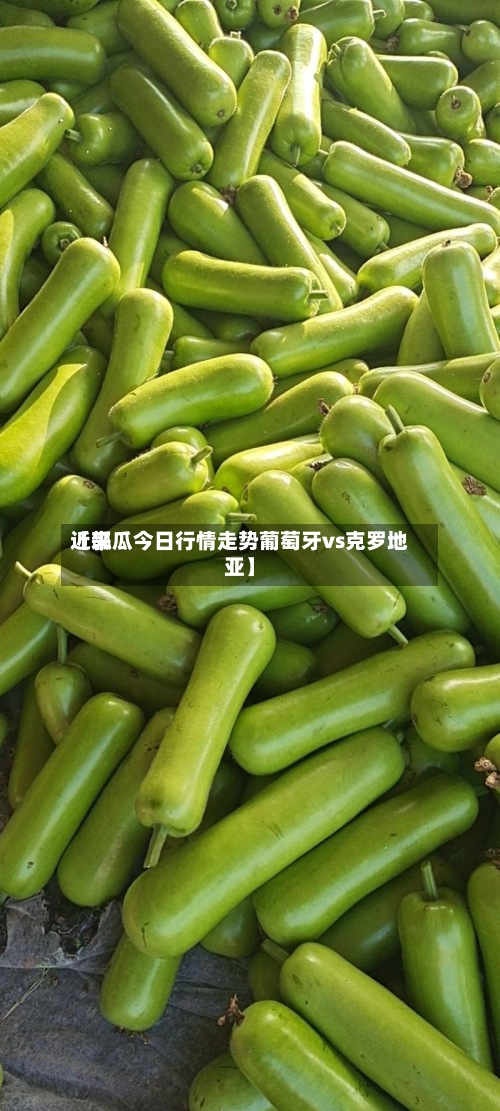 近来【瓠瓜今日行情走势葡萄牙vs克罗地亚】