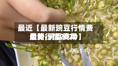 最近【最新豌豆行情费用
走势,豌豆费用
最新行情2020】