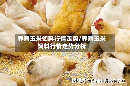 养鸡玉米饲料行情走势/养鸡玉米饲料行情走势分析-第3张图片