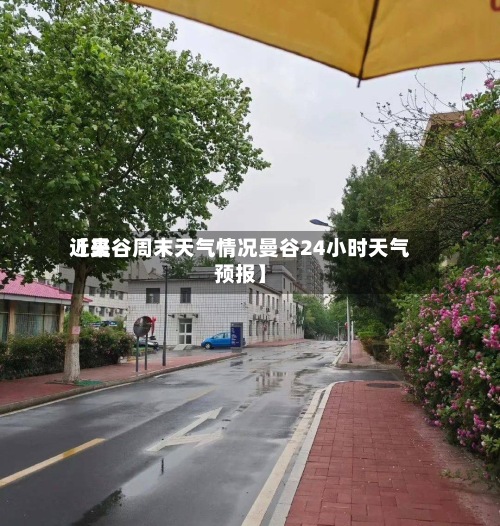 近来
【曼谷周末天气情况曼谷24小时天气预报】