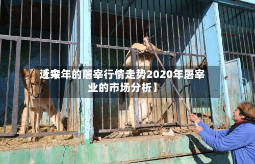 近来【今年的屠宰行情走势2020年屠宰业的市场分析】-第2张图片