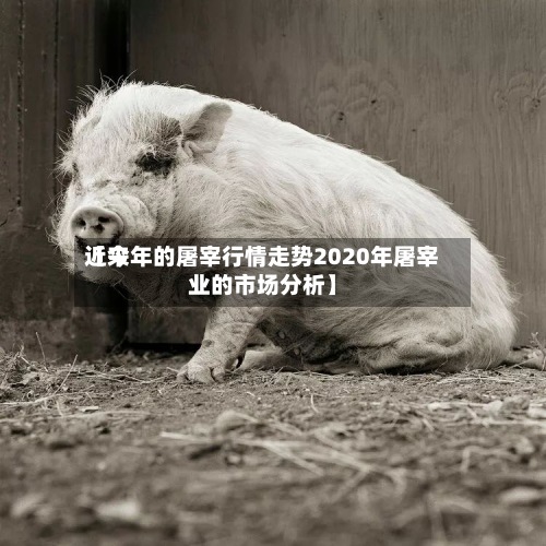 近来【今年的屠宰行情走势2020年屠宰业的市场分析】