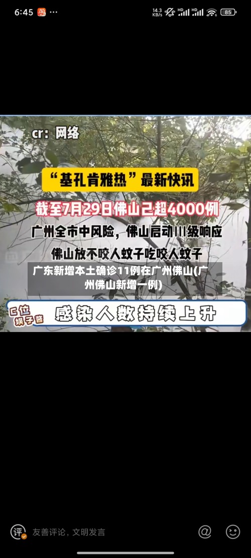 广东新增本土确诊11例在广州佛山(广州佛山新增一例)