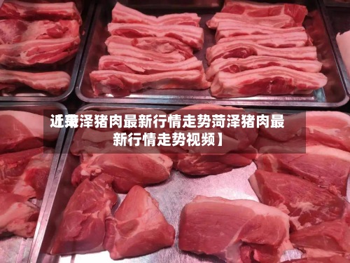 近来【菏泽猪肉最新行情走势菏泽猪肉最新行情走势视频】-第2张图片