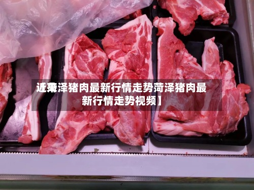 近来【菏泽猪肉最新行情走势菏泽猪肉最新行情走势视频】-第3张图片