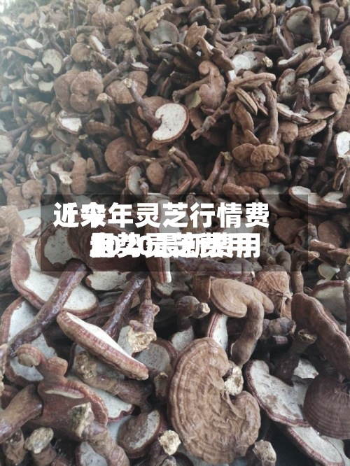 近来
【今年灵芝行情费用
走势灵芝费用
2020最新费用
】-第2张图片