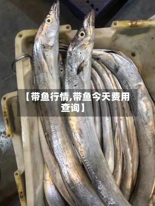 【带鱼行情,带鱼今天费用查询】-第2张图片