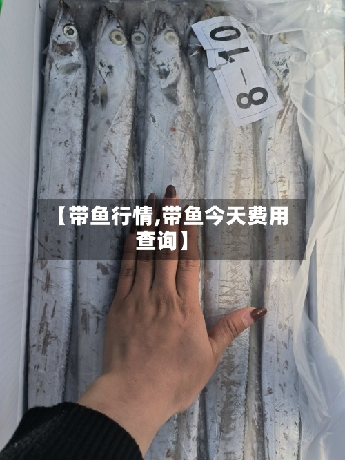 【带鱼行情,带鱼今天费用查询】-第3张图片