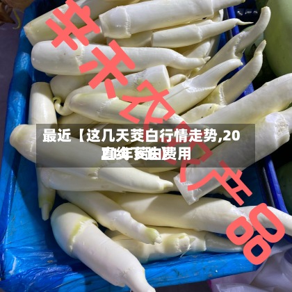 最近【这几天茭白行情走势,2021年茭白费用直线下跌】-第2张图片