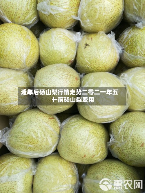 近来
【年后砀山梨行情走势二零二一年五一前砀山梨费用
】-第2张图片