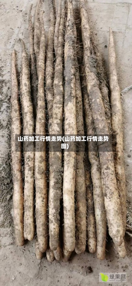 山药加工行情走势(山药加工行情走势图)