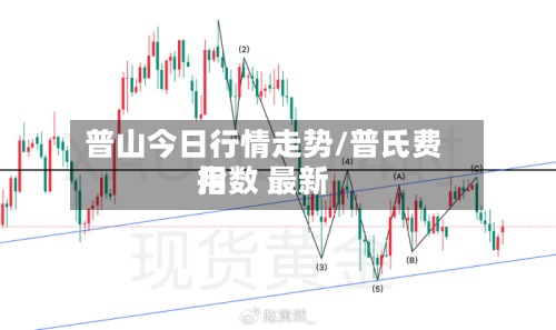 普山今日行情走势/普氏费用指数 最新-第2张图片