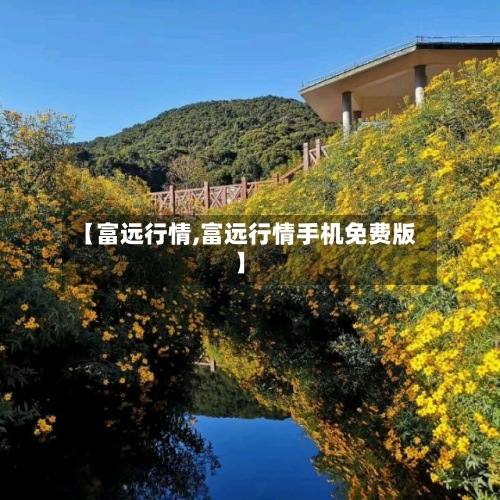 【富远行情,富远行情手机免费版】-第3张图片