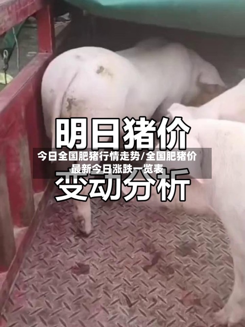 今日全国肥猪行情走势/全国肥猪价最新今日涨跌一览表-第3张图片