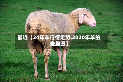 最近【24年羊行情走势,2020年羊的费用走势图】