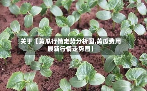 关于【黄瓜行情走势分析图,黄瓜费用最新行情走势图】