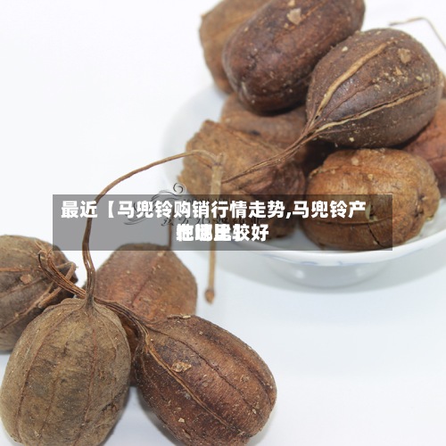 最近【马兜铃购销行情走势,马兜铃产地地比较好在哪里】-第2张图片