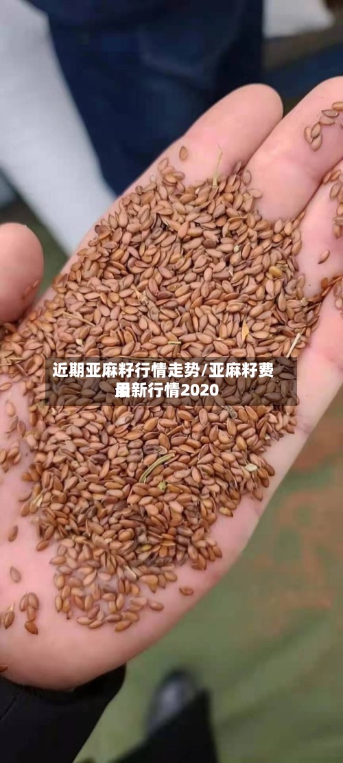 近期亚麻籽行情走势/亚麻籽费用最新行情2020