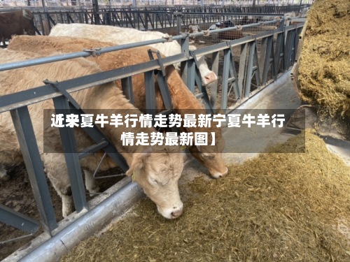 近来【宁夏牛羊行情走势最新宁夏牛羊行情走势最新图】