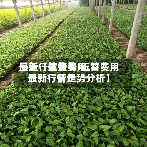 最近【玉簪费用最新行情走势,玉簪费用最新行情走势分析】
