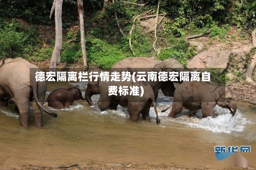 德宏隔离栏行情走势(云南德宏隔离自费标准)