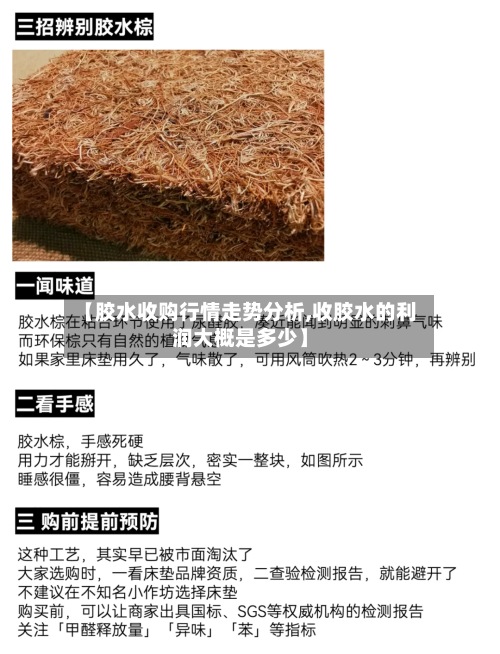 【胶水收购行情走势分析,收胶水的利润大概是多少】