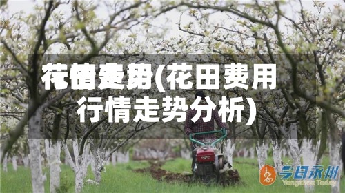 花田费用行情走势(花田费用行情走势分析)-第2张图片