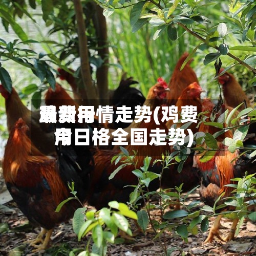鸡费用
最新行情走势(鸡费用
今日格全国走势)