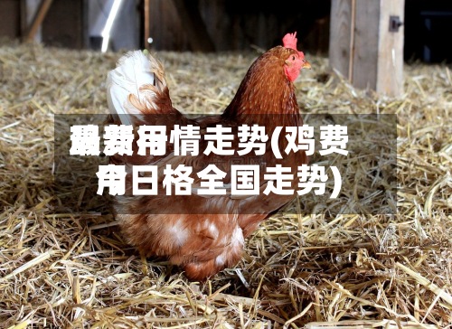 鸡费用
最新行情走势(鸡费用
今日格全国走势)-第2张图片
