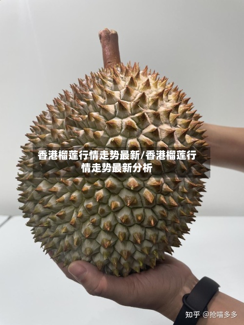 香港榴莲行情走势最新/香港榴莲行情走势最新分析-第3张图片
