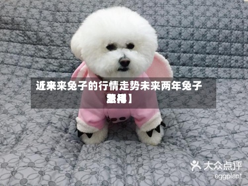 近来
【未来兔子的行情走势未来两年兔子费用
怎样】