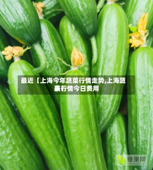 最近【上海今年蔬菜行情走势,上海蔬菜行情今日费用
表】