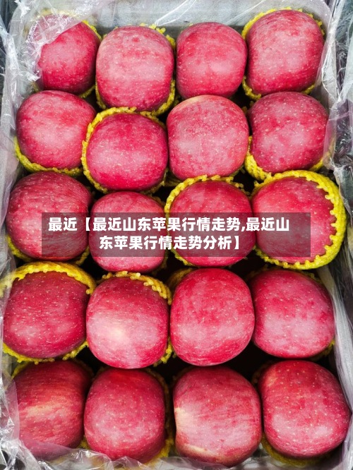 最近【最近山东苹果行情走势,最近山东苹果行情走势分析】-第3张图片