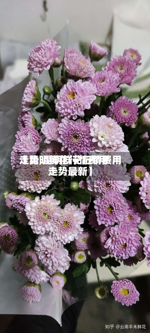 【昆明鲜花行情费用
走势,昆明鲜花行情费用
走势最新】-第2张图片