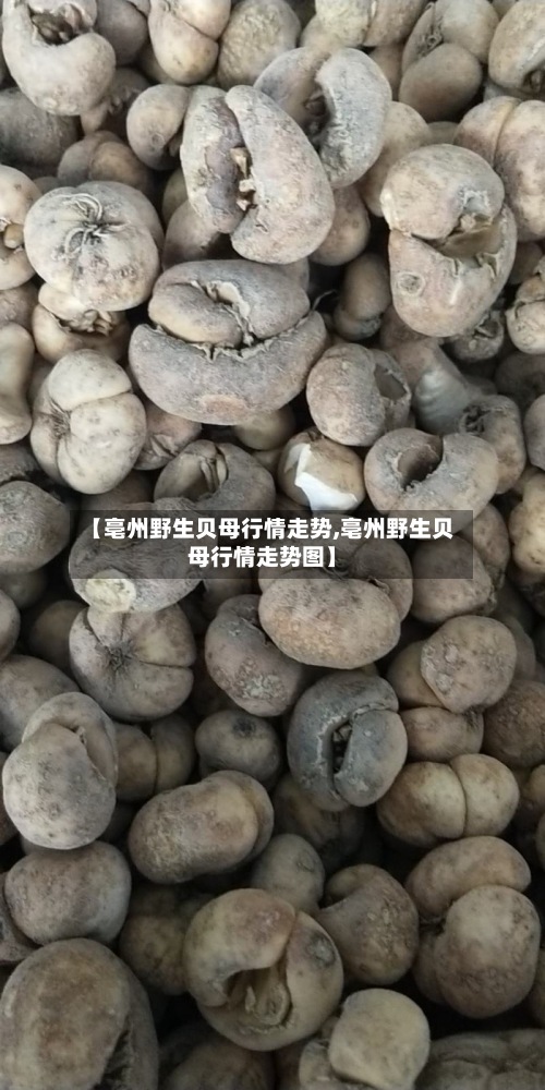 【亳州野生贝母行情走势,亳州野生贝母行情走势图】
