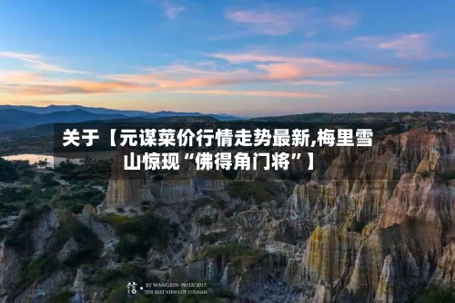 关于【元谋菜价行情走势最新,梅里雪山惊现“佛得角门将”】-第3张图片