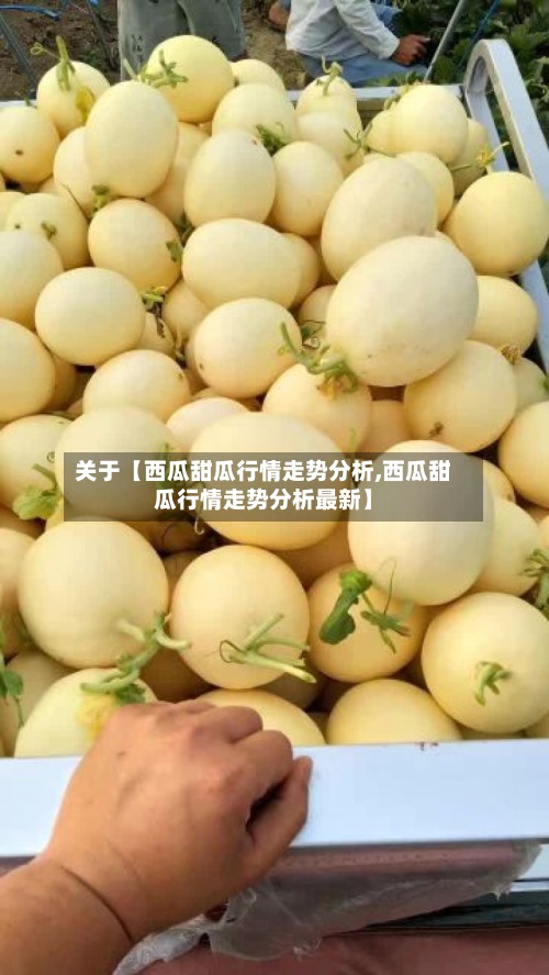 关于【西瓜甜瓜行情走势分析,西瓜甜瓜行情走势分析最新】