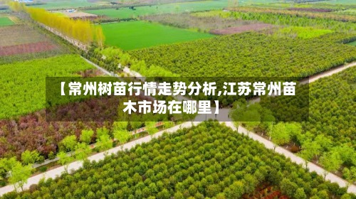 【常州树苗行情走势分析,江苏常州苗木市场在哪里】