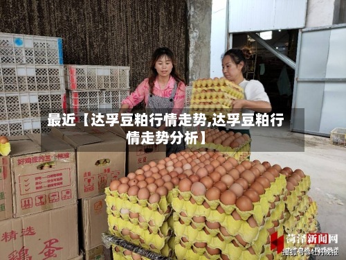 最近【达孚豆粕行情走势,达孚豆粕行情走势分析】-第2张图片