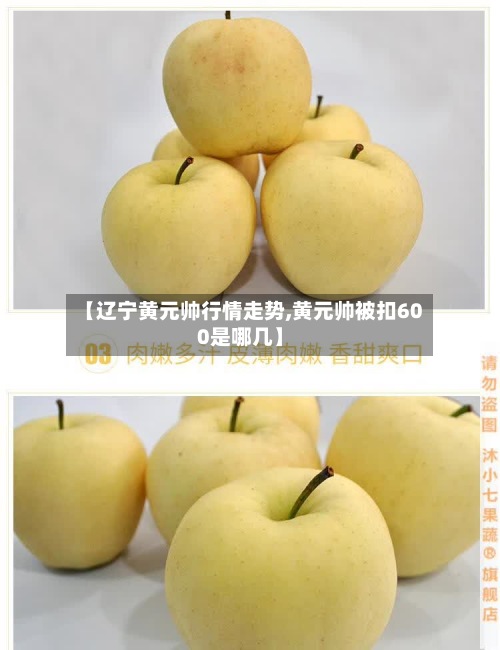 【辽宁黄元帅行情走势,黄元帅被扣600是哪几】