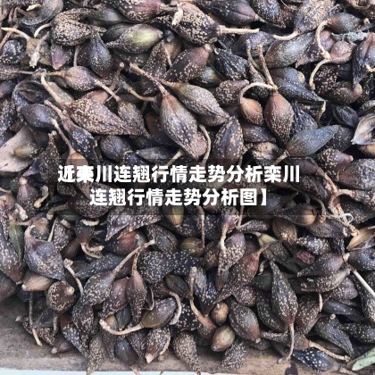 近来【栾川连翘行情走势分析栾川连翘行情走势分析图】