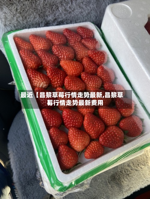 最近【昌黎草莓行情走势最新,昌黎草莓行情走势最新费用
】-第3张图片