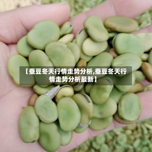 【蚕豆冬天行情走势分析,蚕豆冬天行情走势分析最新】