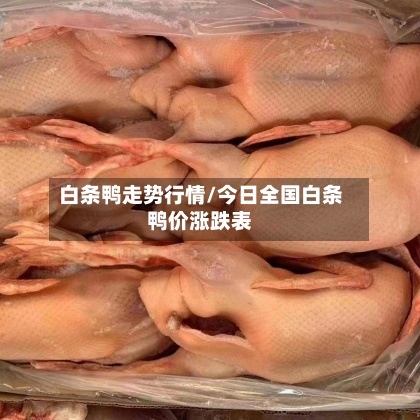 白条鸭走势行情/今日全国白条鸭价涨跌表-第2张图片