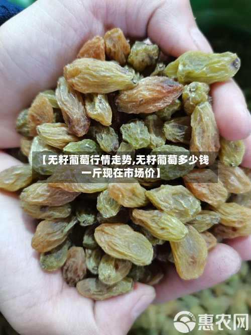 【无籽葡萄行情走势,无籽葡萄多少钱一斤现在市场价】