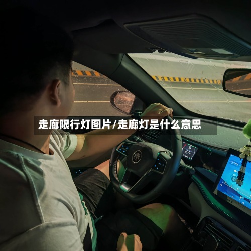 走廊限行灯图片/走廊灯是什么意思