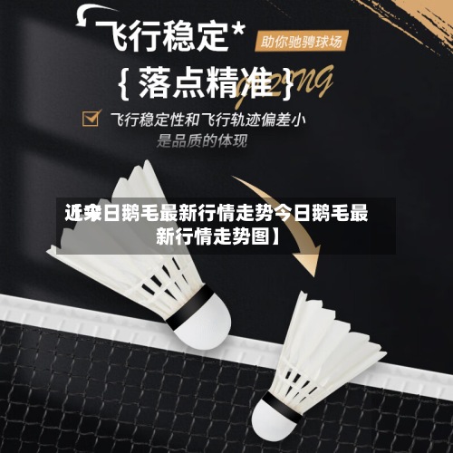 近来【今日鹅毛最新行情走势今日鹅毛最新行情走势图】-第2张图片